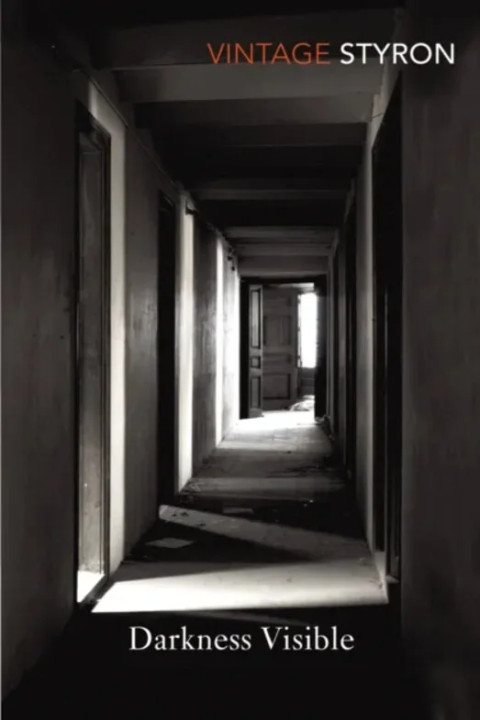 Omslag: Darkness Visible