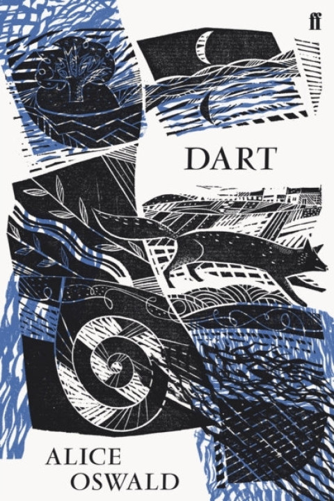 Omslag: Dart
