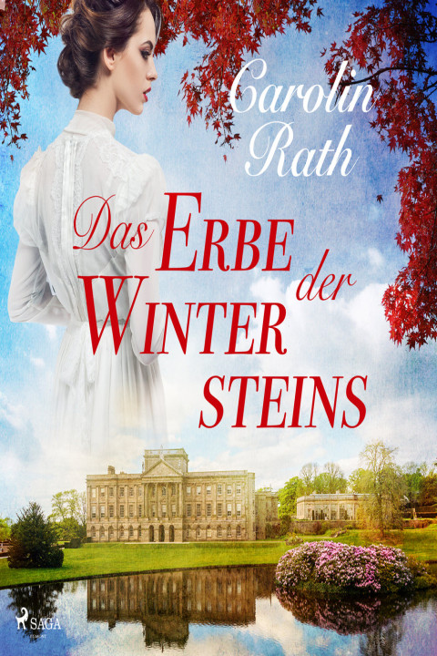 Omslag: Das Erbe der Wintersteins