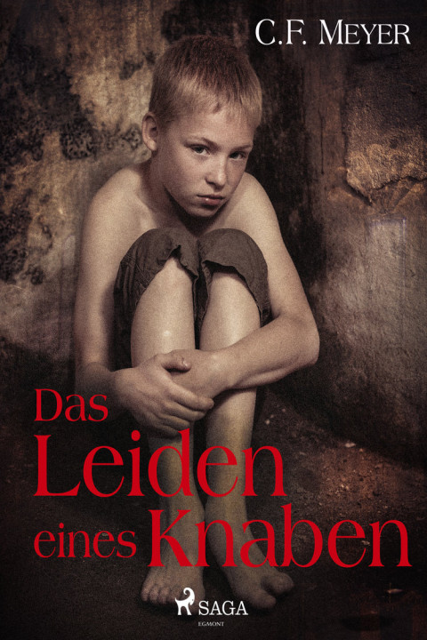 Omslag: Das Leiden eines Knaben