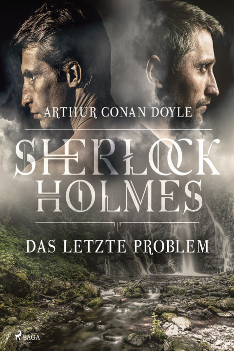 Omslag: Das letzte Problem