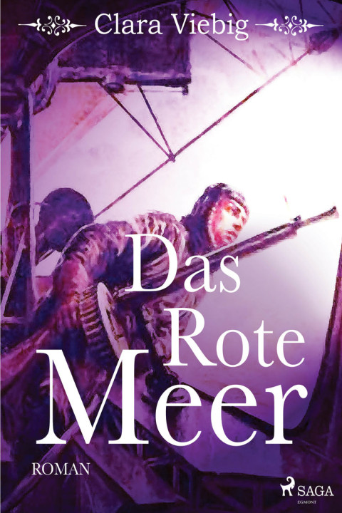 Omslag: Das rote Meer