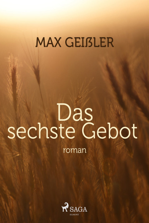 Omslag: Das sechste Gebot