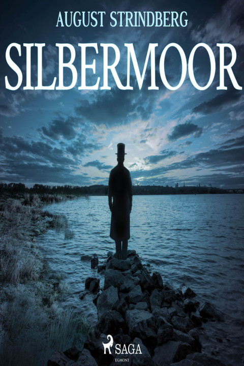 Omslag: Das Silbermoor
