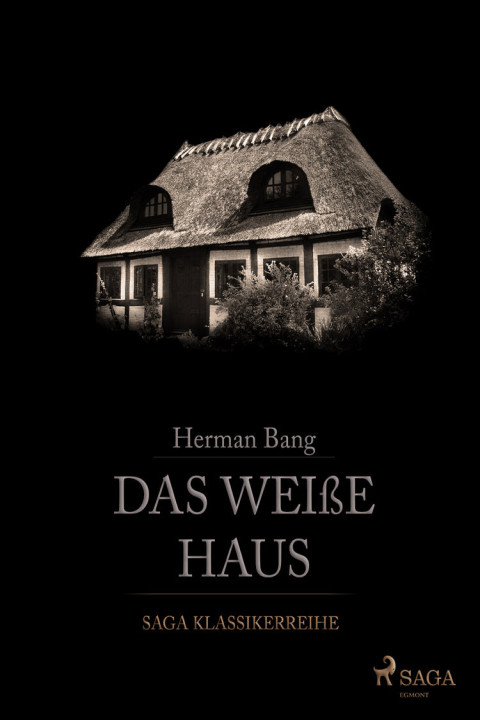 Omslag: Das weiÃe Haus