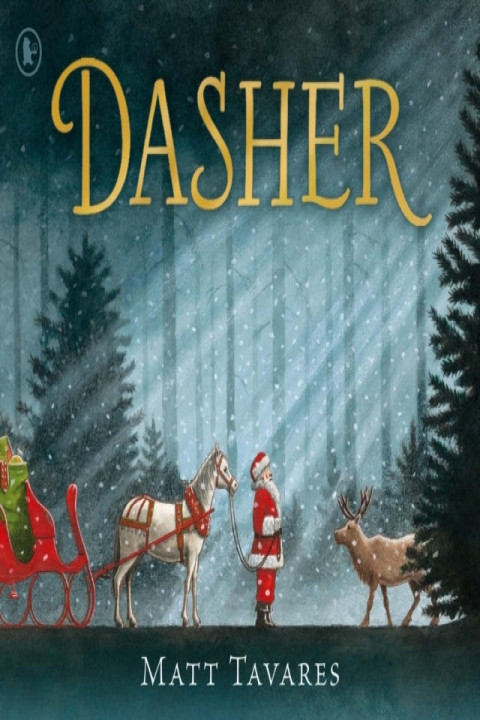 Omslag: Dasher