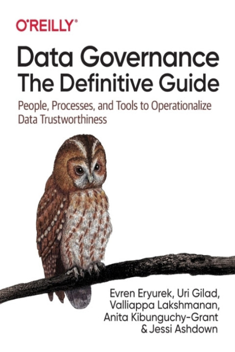 Omslag: Data Governance