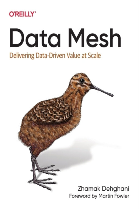 Omslag: Data Mesh