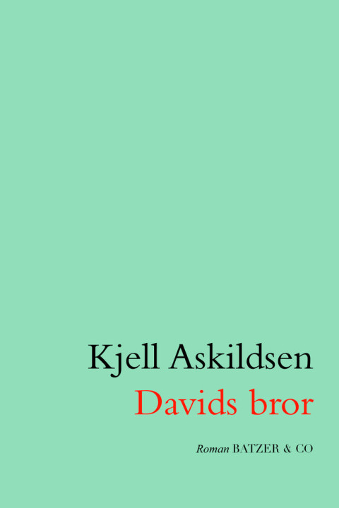 Omslag: Davids bror