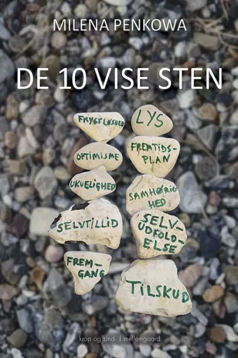 Omslag: De 10 vise sten
