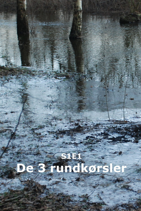 Omslag: De 3 rundkørsler