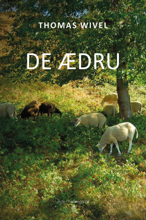 Omslag: De ædru