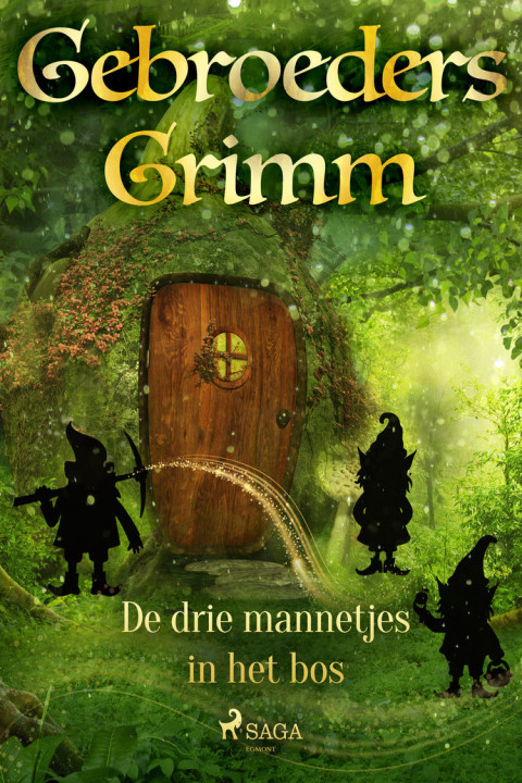 Omslag: De drie mannetjes in het bos