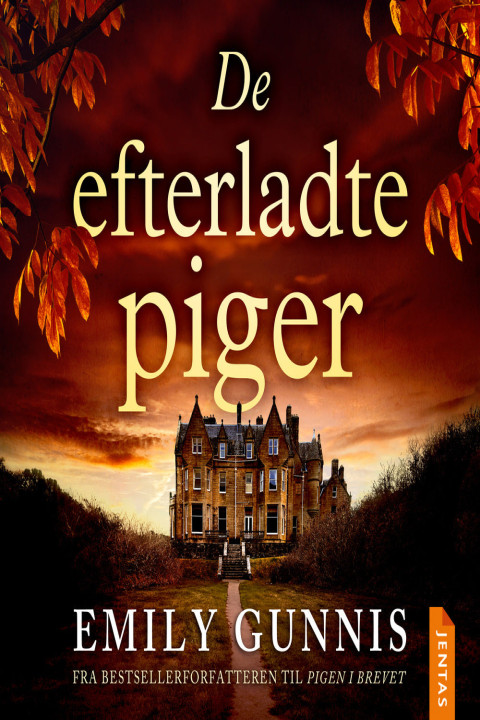 Omslag: De efterladte piger