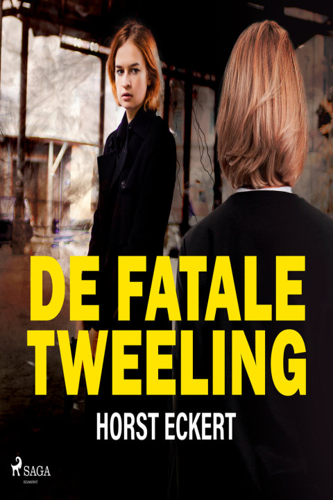 Omslag: De fatale tweeling