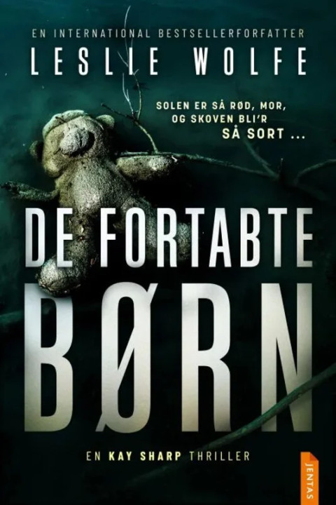 Omslag: De fortabte børn