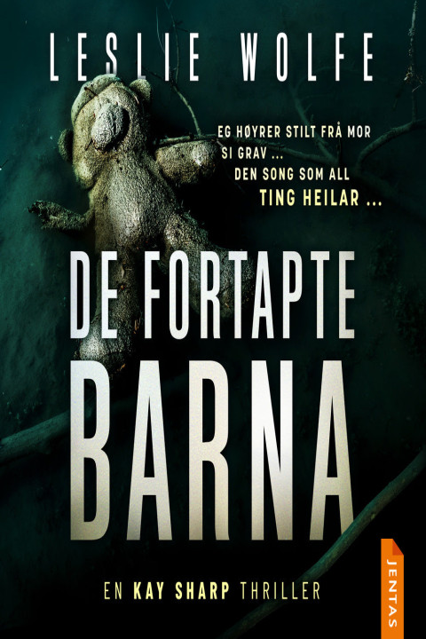 Omslag: De fortapte barna