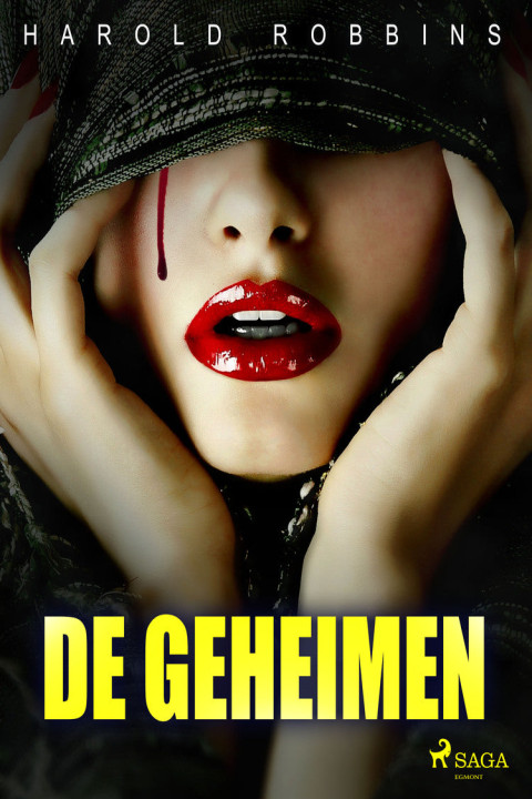 Omslag: De geheimen