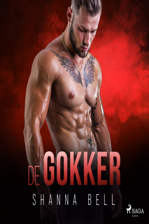 Omslag: De gokker