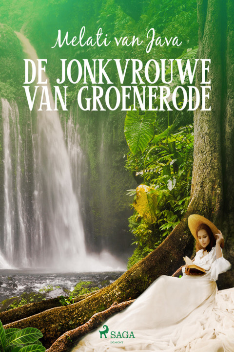 Omslag: De jonkvrouwe van Groenerode