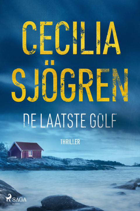 Omslag: De laatste golf