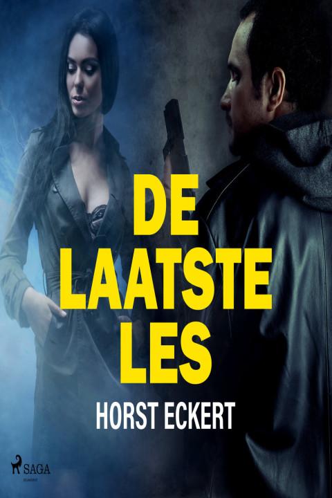Omslag: De laatste les
