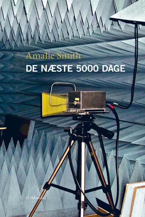Omslag: De næste 5000 dage