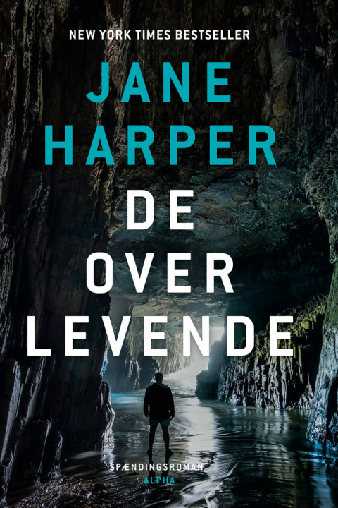 Omslag: De Overlevende