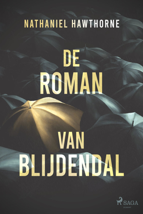 Omslag: De roman van Blijdendal
