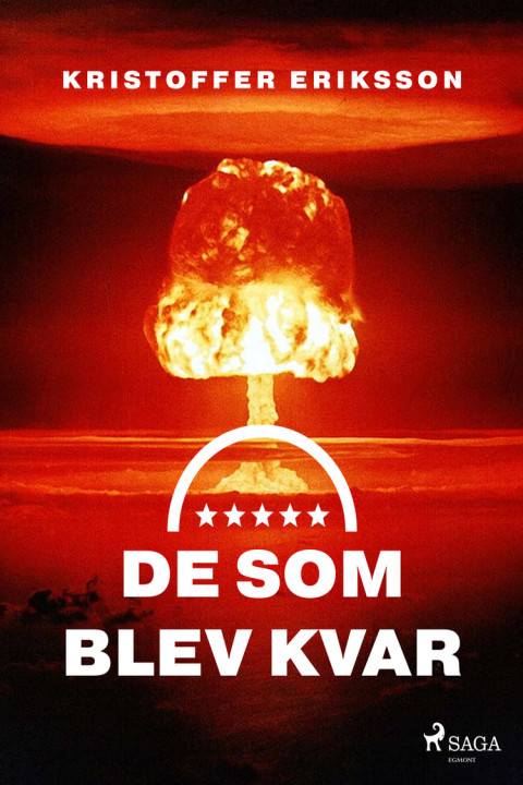 Omslag: De som blev kvar