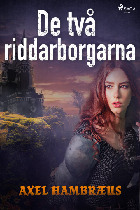 Omslag: De två riddarborgarna