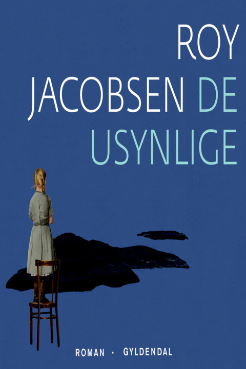 Omslag: De usynlige
