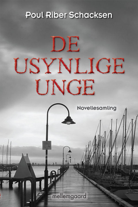 Omslag: De usynlige unge
