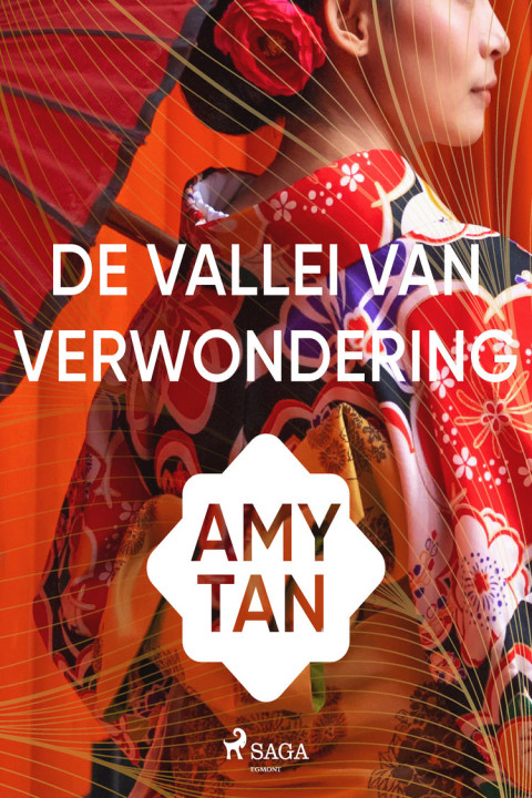 Omslag: De vallei van verwondering