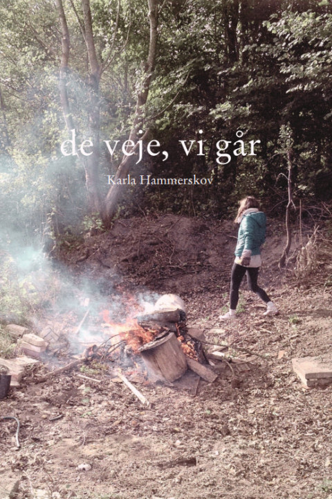 Omslag: de veje, vi går