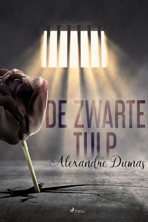 Omslag: De zwarte tulp