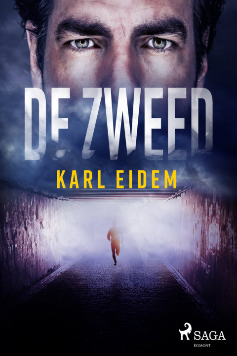 Omslag: De Zweed