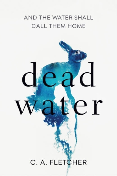 Omslag: Dead Water