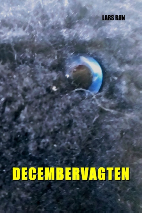 Omslag: Decembervagten