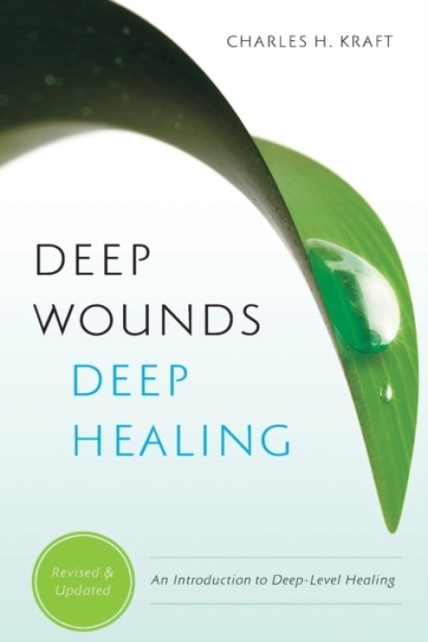Omslag: Deep Wounds, Deep Healing
