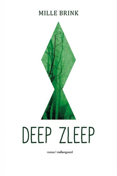 Omslag: Deep zleep