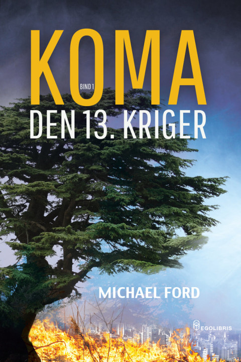 Omslag: Den 13. kriger