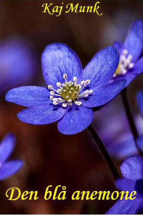 Omslag: Den blå anemone