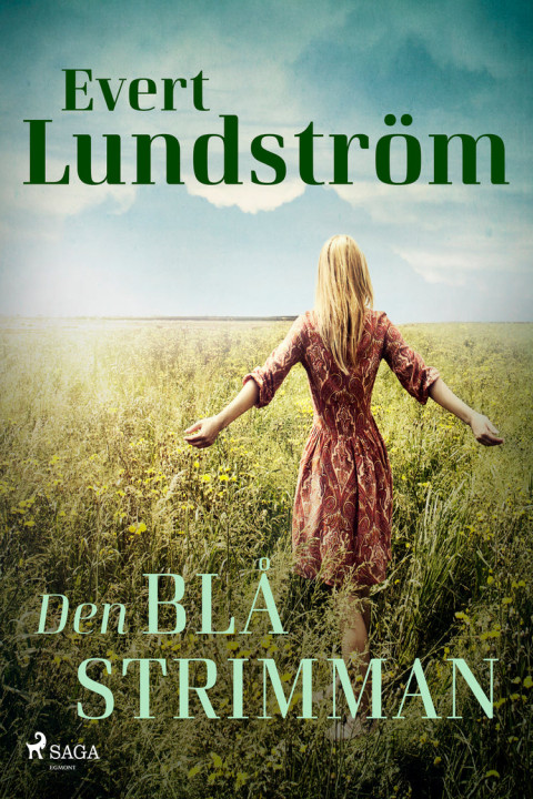 Omslag: Den blå strimman