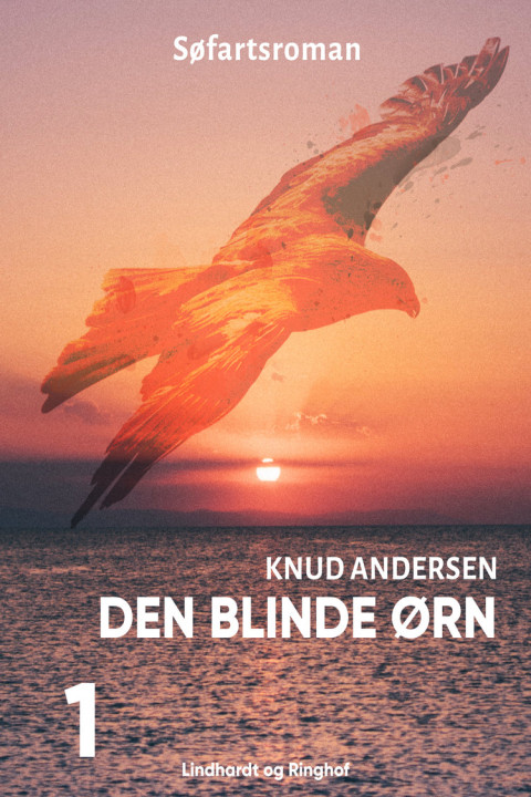 Omslag: Den blinde ørn