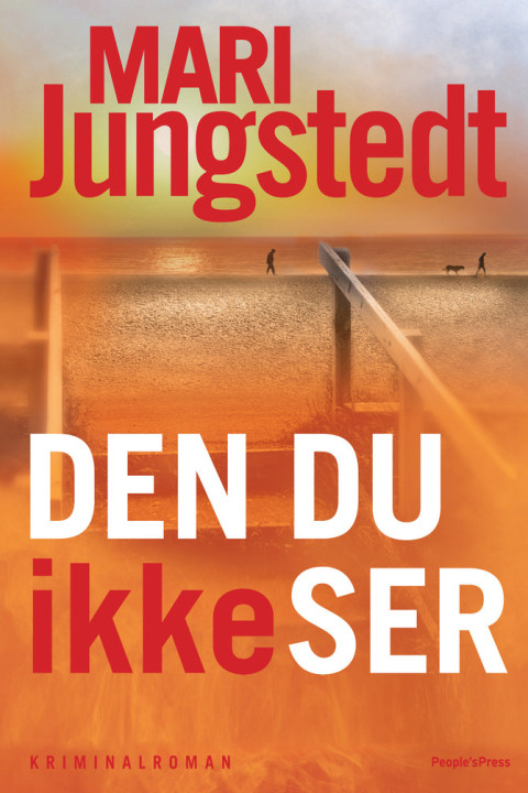 Omslag: Den du ikke ser