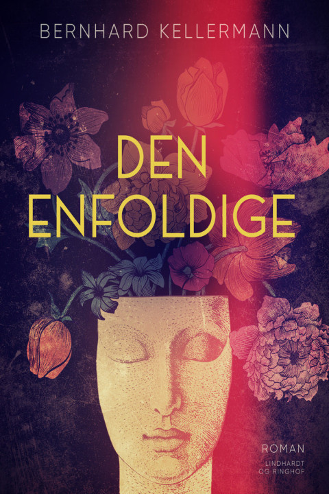 Omslag: Den enfoldige