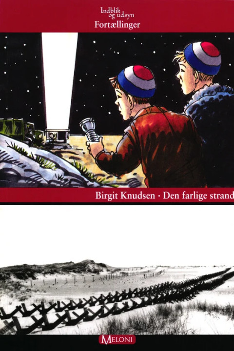 Omslag: Den farlige strand