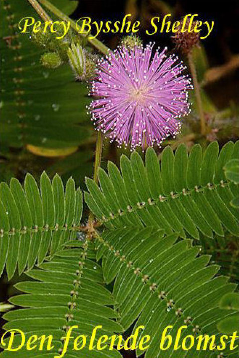 Omslag: Den følende blomst