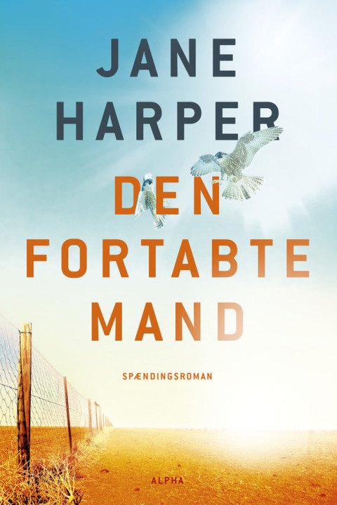 Omslag: Den fortabte mand